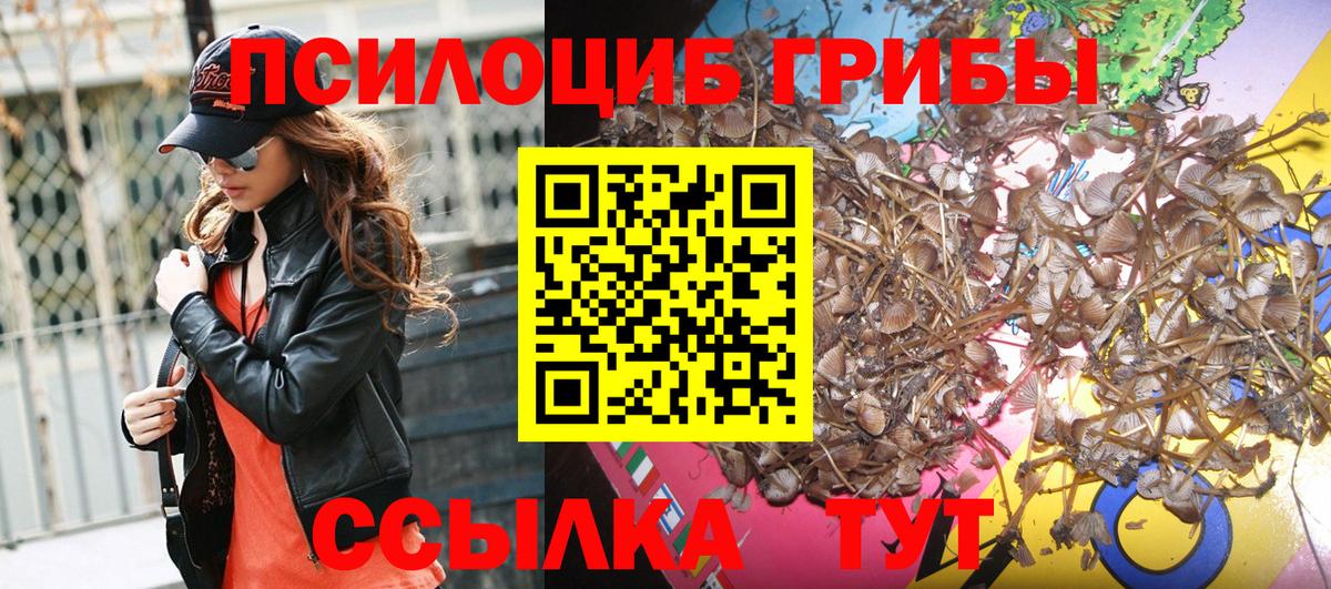 Галлюциногенные грибы Psilocybine cubensis Канаш