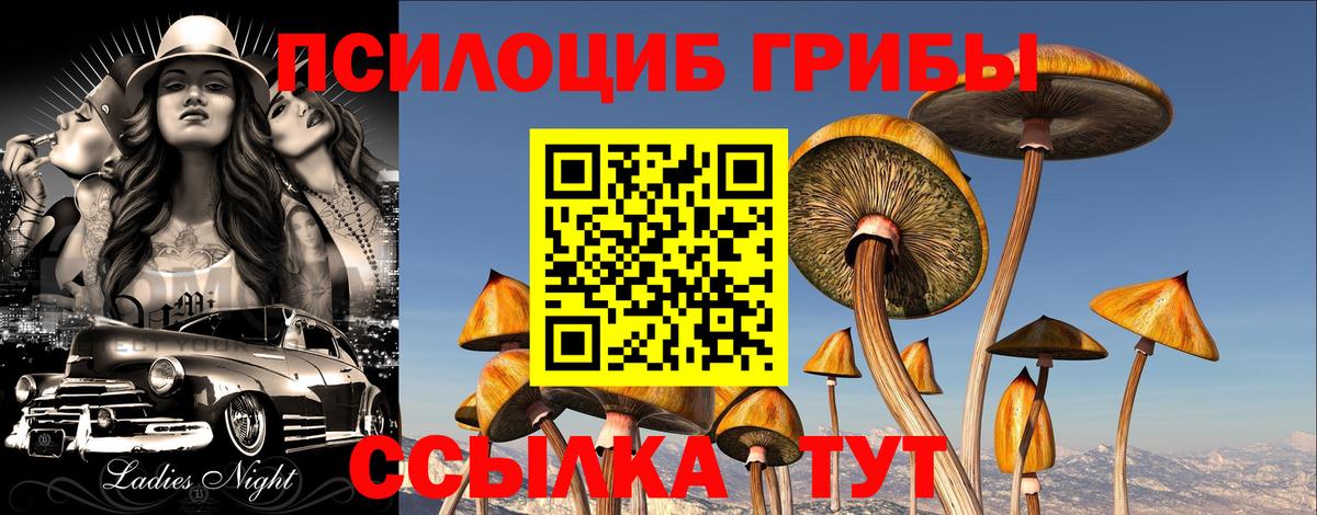 Канаш  Галлюциногенные грибы Psilocybe  Вход с VPN 